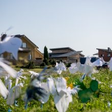 Nors Romainiai sparčiai plečiasi, šeimos su vaikais naujos mokyklos nesulauks