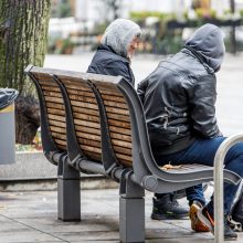 Benamiai sugrįžo į Laisvės alėją: kaip jiems padėti?