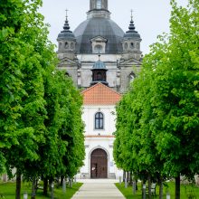 Veikla: Šventieji vartai, Svečių namai ir alėja išnuomoti viešbučiui su restoranu.