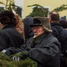 Dovana kauniečiams: į namus iškeliavo tūkstančiai eglių šakų