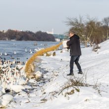 Šaltis jau braunasi ir į Nemuną