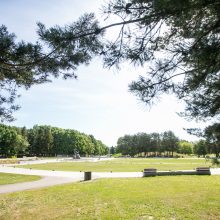 Kodėl atnaujintame parke džiūsta medžiai?