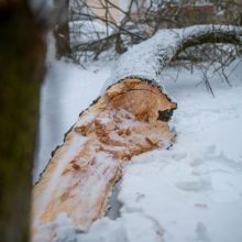 Gausus sniegas ugniagesiams nepašykštėjo darbų – Kauną ir rajoną vadavo iki paryčių