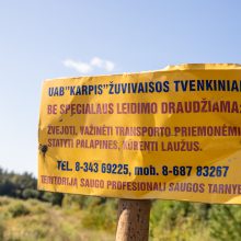 Dėl tvenkinyje išgaišusių žuvų Kazlų Rūdoje – ekstremali situacija