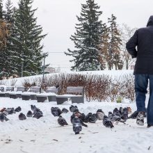 Kaunietė: gal dar yra vilties pakilti iš dugno?