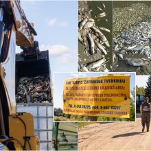 Kazlų Rūdos tvenkinyje išgaišo žuvys: aplinkosaugininkai – apie grėsmes ir žalą aplinkai