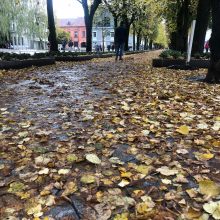 Beda pirštu į lapais nuklotas Kauno gatves: tikrų tikriausia čiuožykla!