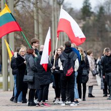 Vilniuje – mitingas tautinių mažumų mokykloms apginti: už integraciją, o ne asimiliaciją