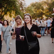 Tūkstantinė minia Kalnų parke pasitiko atlikėją LP