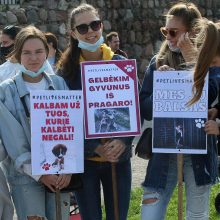 Kaune – eitynės už gyvūnų teises: mažos baudos – ne vienintelė problema