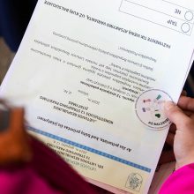 Referendumo dėl dvigubos pilietybės rezultatai: kol kas daugiau pritariančių (pildoma)