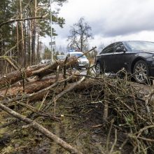 Ugniagesiai vos spėjo suktis: vėjas vertė medžius ant gatvių, automobilių