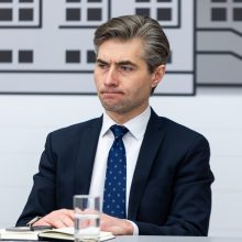 K. Budrys: Baltarusijoje dislokuodama branduolinį ginklą Rusija pažeistų tarptautinę teisę