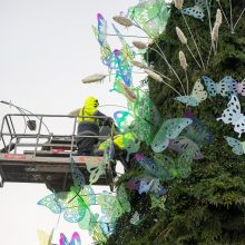 Intensyvus veiksmas Rotušės aikštėje: iki eglės įžiebimo lieka vos kelios dienos