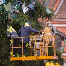 Intensyvus veiksmas Rotušės aikštėje: iki eglės įžiebimo lieka vos kelios dienos