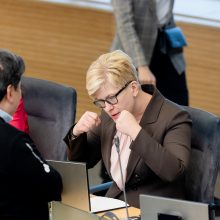 Naujas politinis sezonas: laukia tai, ko dar nematėme?