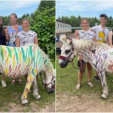 Pramoga vaikų stovykloje sukėlė tikrą audrą: siaubas ir nužmogėjimas! 