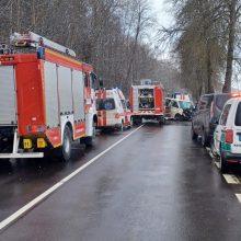 Sukrečianti kaktomuša pakaunėje: šiurpūs jos padariniai su slidžia kelio danga nesusiję?