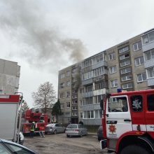 Partizanų gatvės daugiabutyje kilo gaisras: į medikų rankas atiduota buto šeimininkė