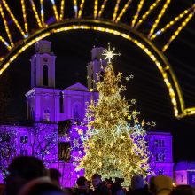 Pasidžiaugti Kauno kalėdine egle liko vos kelios dienos