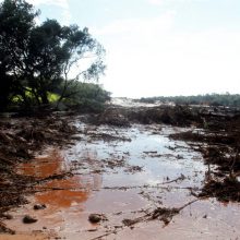 Brazilijoje po užtvankos griūties atnaujintos paieškos, aukų skaičius perkopė 50