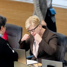 Valdantieji sieks didesnio skaidrumo, TS-LKD telks palaikymą pirmalaikiams rinkimams