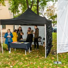 Pirmą kartą ant Pelėdų kalno karaliavo „Meno piknikas“