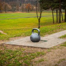 Menininko iššūkis sportininkams Santakos parke – toną sveriantis svarstis