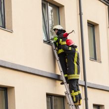 Sumaištis Žemaičių gatvėje: nauja Asilo auka – jo sugyventinė?