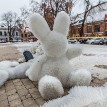 Kaunas atsisveikina su Kalėdų egle: kur dės plastikinius šiaudelius?