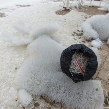 Kaunas atsisveikina su Kalėdų egle: kur dės plastikinius šiaudelius?