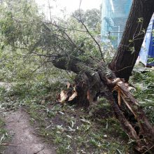 Nevaldoma situacija pajūryje: medžiai virto ant mašinų, vis dar ribojama laivyba