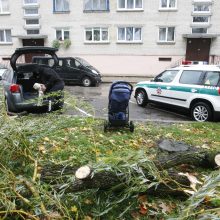 Vėtra uostamiestyje: niokojami automobiliai, į uostą neįplaukia laivai