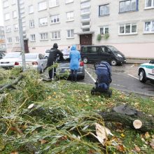 Vėtra uostamiestyje: niokojami automobiliai, į uostą neįplaukia laivai