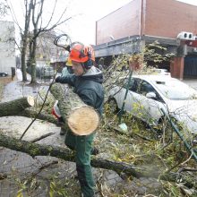 Vėtra uostamiestyje: niokojami automobiliai, į uostą neįplaukia laivai