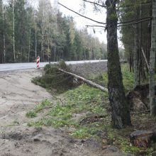 Vėtra uostamiestyje: niokojami automobiliai, į uostą neįplaukia laivai