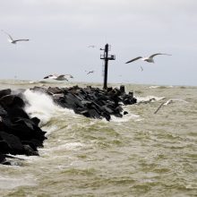 Laikas prie jūros: vieni grožėjosi, kiti – gaudė bangas