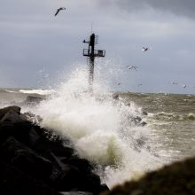 Laikas prie jūros: vieni grožėjosi, kiti – gaudė bangas