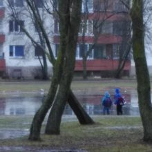 Ant Žardės tvenkinio – pavojingi žaidimai