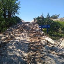 Darbai: pajūryje dirbantys rangovai šiuo metu nuima medines takų lenteles, tačiau aiškinama, jog jų ištisiniais plastiko takais nekeis, medinė danga bus atnaujinta.