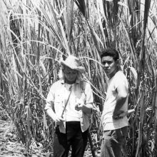 Egzotika: Kuboje L.Ubartienei teko patirti, kaip kertamos cukranendrės, vietos gyventojai laivo įgulai į plantacijas surengė ekskursiją.
