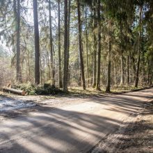 Karjerų kasimas Pakarklės miške: bendruomenė žada kovoti toliau