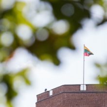 Nacionalinis muziejus atnaujins Gedimino bokšto vėliavos stiebą, plazdės didesnė