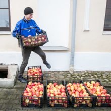 Ką Kauno kunigų seminarijoje veikė pakaunės ūkininkai?