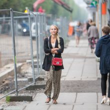 Kilus abejonių, teismas atnaujino įrodymų tyrimą R. Alijevo byloje