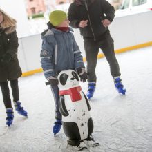 Žiemos pramoga gryname ore, bet po stogu 