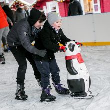 Žiemos pramoga gryname ore, bet po stogu 