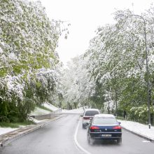 Netikėta: gegužės rytą į Lietuvą grįžo balta žiema