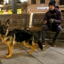 Laisvės alėjoje sutikti lapkričio romantikai: šis metų laikas – unikalus