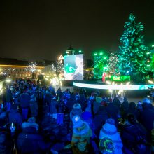 Stebuklingo Kalėdų sodo kūrėja: džiaugiuosi, kad sumanymas pavyko